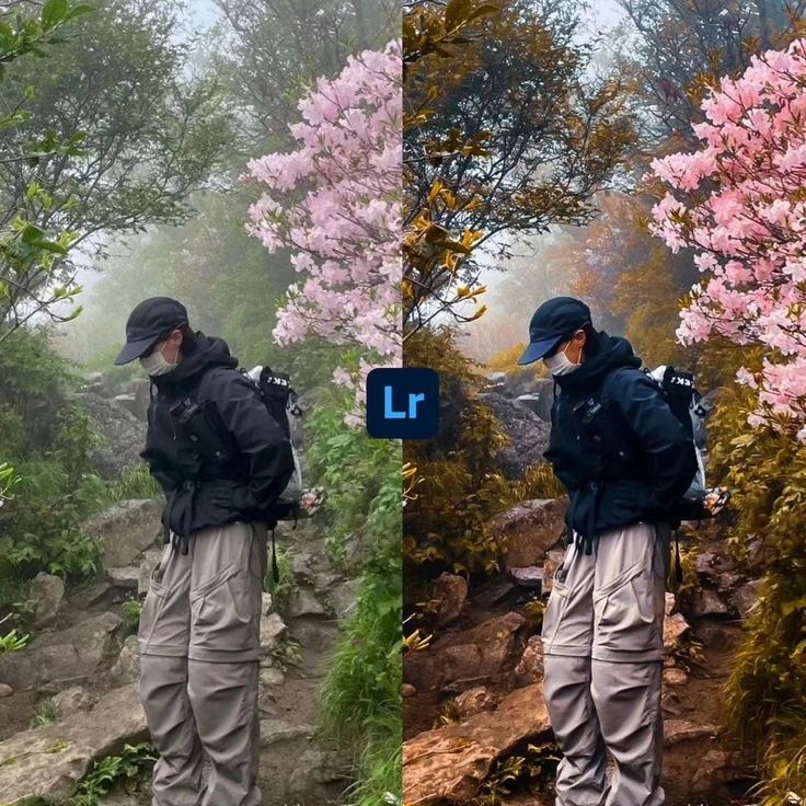 LUT Preview
